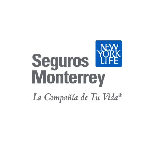 Seguros